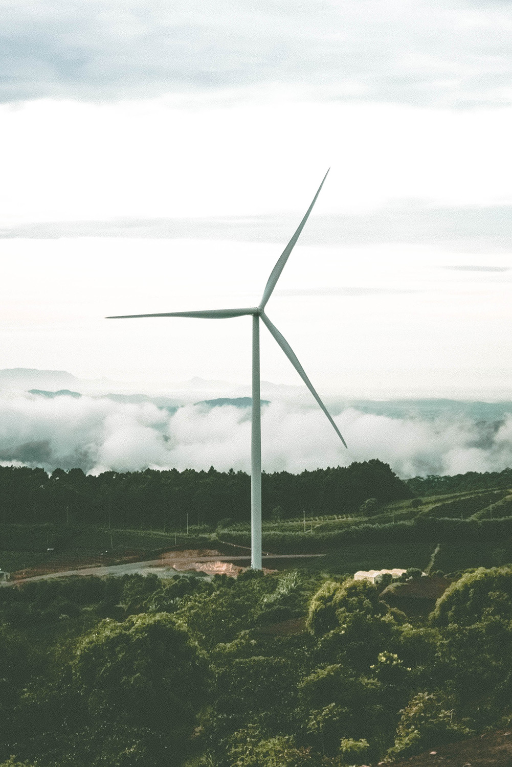 Wind mill producing wind energy